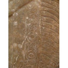 Genie in front of a tree of life, solar disc, winged horse